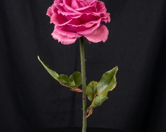 Handmade Realistic Rose Stem, Everlasting Botanical Flower, Luxury Floral Decor