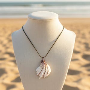 Jewel Box Moonlight Shell Necklace