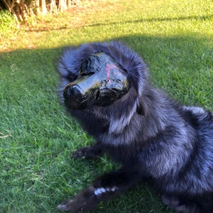 May include: A plush animal figure featuring long, dark, silver-tipped faux fur and a prominent, glossy black molded mask covering the face. The mask has a smooth, irregular texture with a small, faint red crescent-shaped marking on the side.