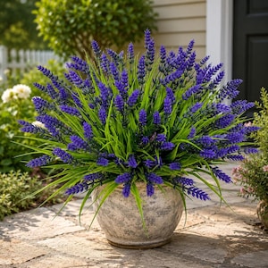 May include: A potted plant featuring vibrant purple lavender flowers and long, pointed green leaves. The plant is contained within a round, weathered, light gray stone-textured pot with a smooth rim, sitting on a stone patio surface.