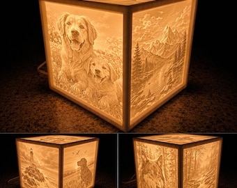 Up to 16 Photos | Custom Lithophane Box | Personalized Photo Lamp | Anniversary Gift | Pet Memorial