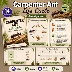 May include: A colorful educational activity pack titled "Carpenter Ant Life Cycle." The pack includes 14 worksheets with illustrations of ant life stages, facts, and matching games. The cover features a book with the title and images of ants.