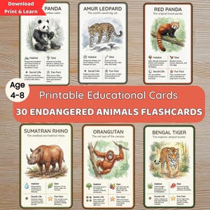30 flashcards med utrotningshotade djur | Montessori djurvård | Studie av utrotningshotade arter | Hemundervisning Naturvetenskap utskrivbar