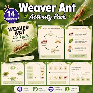 Puede incluir: Un paquete de hojas de trabajo educativas de colores titulado "Weaver Ant Activity Pack" con 14 hojas de trabajo. El paquete incluye diagramas del ciclo de vida de la hormiga, datos y actividades. La portada presenta una hoja verde y un dibujo de una hormiga tejedora.