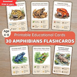 May include: Printable educational flashcards featuring 30 amphibians. Each card displays a colorful illustration of a frog or salamander, with facts and details. Includes a Pacman frog, Malaysian leaf frog, tomato frog, poison dart frog, red-eyed tree frog, and Chinese giant salamander.