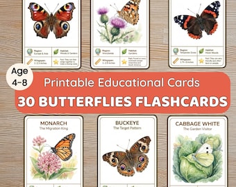 Butterfly Species Flashcards for Kids | 30 Printable Preschool Science Activity Cards | PDF Download