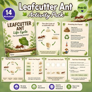 Puede incluir: Paquete de actividades educativas para estudiantes de PreK-G2. El "Leafcutter Ant Activity Pack" incluye 14 hojas de trabajo. La portada presenta una hormiga cortadora de hojas que lleva una hoja. El paquete incluye información sobre el ciclo de vida de la hormiga.