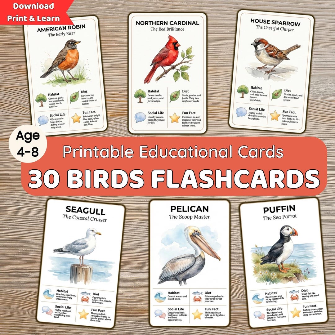 30 Printable Bird Species Flashcards for Kids | Preschool & Homeschool ...