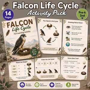 May include: A colorful educational activity pack titled "Falcon Life Cycle" for pre-K to 2nd grade. The pack includes a book, fact sheets, and quizzes about falcons. The book cover features a falcon in a nest with eggs.