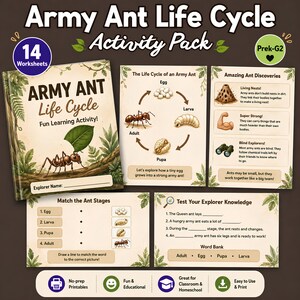 Puede incluir: Un paquete de actividades educativas titulado "Army Ant Life Cycle" con 14 hojas de trabajo. La portada presenta una ilustración de una hormiga que lleva una hoja. El paquete incluye información sobre los ciclos de vida de las hormigas, descubrimientos asombrosos y ejercicios interactivos.