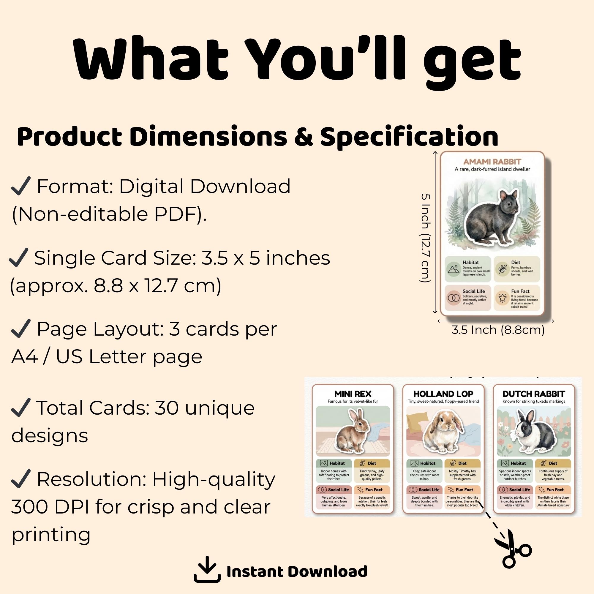 Cute Rabbit Flash Cards Rabbit Flashcards for Kids | Mammal Life Cycle, Habitat Learning Cards ...