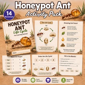 May include: A Honey Pot Ant Activity Pack with 14 worksheets. The cover of the activity book shows a honeypot ant and the text "Honey Pot Ant Life Cycle Fun Learning Activity!". Other worksheets include matching stages, ordering the life cycle, and fill-in-the-blanks.