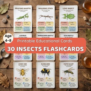 30 Insect Flashcards Printable | Kids Nature Study, Science Learning (PDF Download)