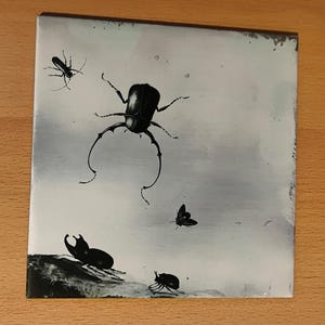 May include: A square ceramic tile featuring a monochromatic illustration of various beetles. The design includes a large central stag beetle, a smaller flying insect, and two beetles resting on a dark, textured ground against a pale gray background.