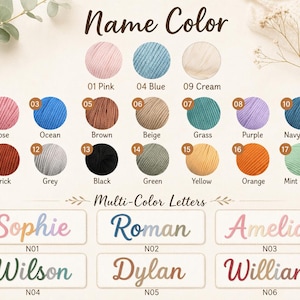 Op de afbeelding: Een kleurenkaart met zeventien genummerde garenkleuren, waaronder roze, blauw, cr&egrave;me, rose, oceaan, bruin, beige, gras, paars, marineblauw, baksteen, grijs, zwart, groen, geel, oranje en mintgroen, plus zes voorbeelden van meerkleurige namen.