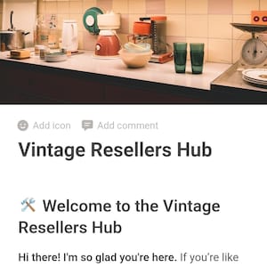 Puede incluir: Página web "Vintage Resellers Hub" con electrodomésticos de cocina vintage. El texto "This page is live on the web" es visible.