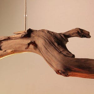May include: A rustic, wooden pendant light fixture. The fixture is made from a natural, curved piece of driftwood, with a warm, glowing light emanating from the underside. The wood has a rich, brown color and visible grain.
