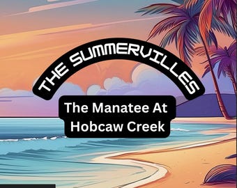 The Manatee at Hobcaw Creek – Digital Kids’ Storybook PDF (Ages 7–11)
