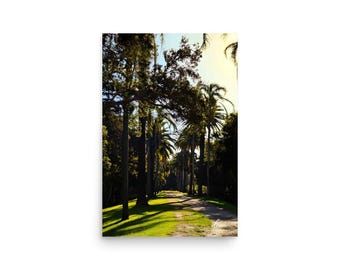 Palm Tree Path Print | Tropical Golden Hour Photography, Coastal Decor