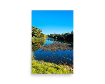 Sydney Botanic Garden Pond Photography Print | Tropical Nature Wall Art