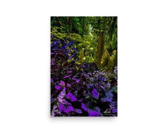 Cloud Forest Purple Garden Poster | Singapore Botanical Photography | Exotic Plants Wall Art
