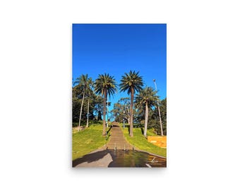 Sydney Palm Tree Staircase Poster | Royal Botanic Garden Photography, Coastal Decor