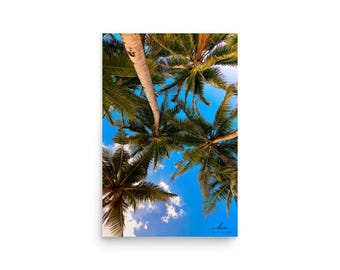 Palm Tree Canopy Poster | Tropical Sky Photography, Beach Lookup Print