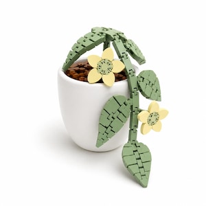 May include: A white ceramic pot with a green and yellow decorative plant. The plant has segmented leaves and flowers. The pot contains brown soil. The plant's leaves and flowers are a light green and yellow color.