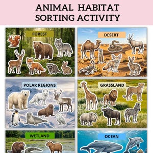 Può includere: Una scheda didattica per l'attività di classificazione degli habitat animali con sei scene distinte: foresta, deserto, regioni polari, prateria, zona umida e oceano. Ogni sezione mostra varie illustrazioni di animali nel loro ambiente naturale.