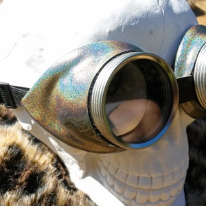 Cyberpunk Silver Stargazer Goggles. Burning man playa wear. Special limited edition Leather goggles