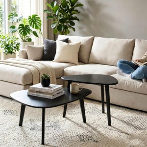 May include: A set of two black wooden nesting coffee tables with organic, rounded triangular tops and tapered legs. The lower table holds a stack of three books and a small potted succulent, while the taller table holds a ceramic mug.