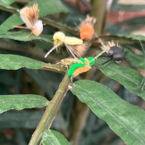 May include: A selection of artificial fishing flies in shades of orange, yellow, and green, attached to a green leafy branch. The flies have intricate details, such as feathery wings and tiny hooks. The background features more green leaves and a brick wall.