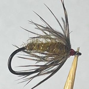 Op de afbeelding: Een vliegvisserskunstaas met een gebogen zwarte metalen haak, een textuurrijk olijfgroen lichaam met gouddraad ribbing en donkerbruine hackle-veren die naar buiten steken. Een kleine rode draadwikkeling zet de veren vast bij het oog.
