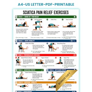 May include: A printable A4-US letter document titled Sciatica Pain Relief Exercises. The chart features numbered illustrations of various stretches and movements organised into six phases, including warm-up, nerve mobility, and glute stretches.