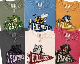 Custom Mascot Pennant Shirt, Comfort Colors School Spirit Mascot Tee, Game Day Football Homecoming Pennant Sport Adult Toddler Youth tees