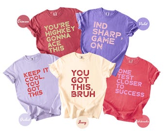 Test Day Shirt, Matching State Testing Tshirts, Invigilator Shirts, Comfort Colors, Gen Z School Testing Day Tee, Testing Coordinator Shirt