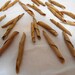 50 Natural Seed Pod Spirals, Light Brown Seed Pods Floral Arts and Crafts Supplies