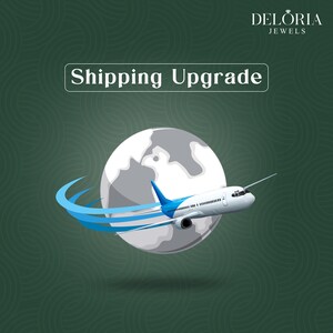 Può includere: Una grafica con un aereo bianco e blu che vola davanti a un globo grigio. Il testo "Shipping Upgrade" è visualizzato in un riquadro bianco sopra il globo e il marchio "DELORIA JEWELS" appare nell'angolo in alto a destra.