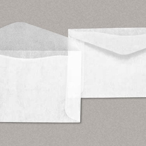 100 Glassine Mini Envelopes 2 5/16 x 3 5/8 Inches ("No.2 Size") - Ungummed, Business Card Size