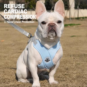 May include: A light blue dog harness with a V-neck design worn by a white French Bulldog. The harness features a circular logo patch and is attached to a grey leash. Text on the image reads: REFUSE CARDIAC COMPRESSION V-Neck Chest Protection.