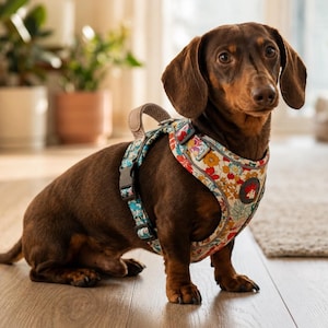 Arnés floral para perros sin tirones, chaleco de malla ajustable para cachorros, arnés con estampado floral para perros salchicha, arnés para pasear perros pequeños.