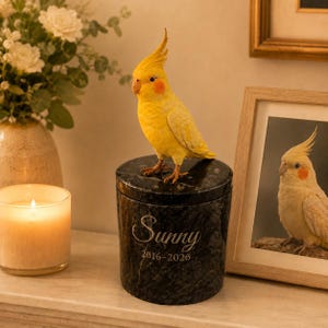 Urna personalizada para mascotas (aves), recuerdo conmemorativo de loro, urna de mármol con figura pintada a mano, urna personalizada para cenizas de periquito ninfa.