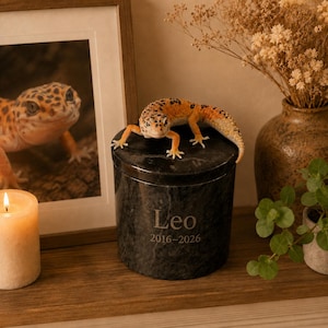 Könnte beinhalten: Eine zylindrische Urne aus schwarzem Marmor mit einer realistischen orange-schwarz gefleckten Leopardgecko-Figur auf dem Deckel. Die Vorderseite der Urne ist mit dem Namen Leo und den Jahren 2016-2026 in einer schlichten, hellen Serifenschrift graviert.