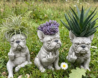 Grumpy French Bulldog Resin Planter,Funny Middle Finger Dog Succulent Pot,Animal Plant Container,Sassy Garden Decor,Quirky Home Ornament