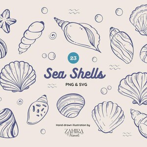May include: A collection of 23 hand-drawn sea shell illustrations in navy blue on a cream background. The image includes various shell shapes, a starfish, and the text "Sea Shells PNG & SVG".