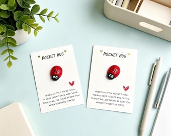 Marienkäfer-Taschen-Umarmungs-Karte, Taschen-Umarmungs-Token, niedliches Marienkäfer-Geschenk, denken an Sie Geschenk, viel Glücksbringer, Ermutigungskarte