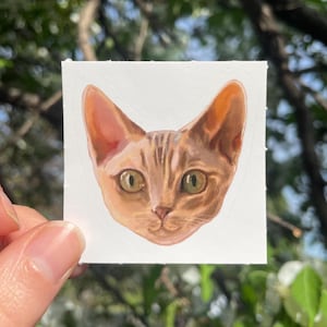 May include: A sticker featuring a detailed illustration of a cat's face. The cat has large, pointed ears, green eyes, and a light brown coat with darker stripes. The sticker is square with a white border.