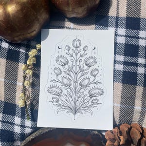 Puede incluir: Una pegatina rectangular blanca que presenta una ilustración detallada en tinta negra de una planta venus atrapamoscas simétrica con múltiples trampas, hojas y tallos, acentuada por pequeñas estrellas y lunas celestiales.
