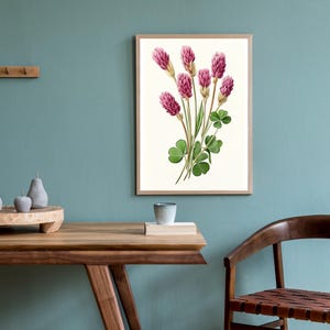 Red Clover Botanical Print, Rustic Farmhouse Wall Art, Vintage Wildflower Printable, Farmhouse Decor, Digital Download