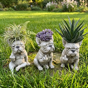 May include: Three gray stone-colored French bulldog planters sitting in a row. Each dog figure has a grumpy expression and is holding up its middle finger. The planters contain different plants: a wispy air plant, a purple succulent, and an aloe.